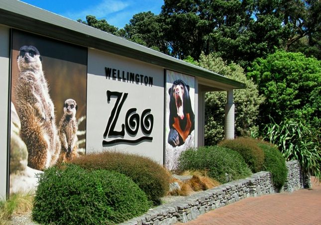 wellington-zoo