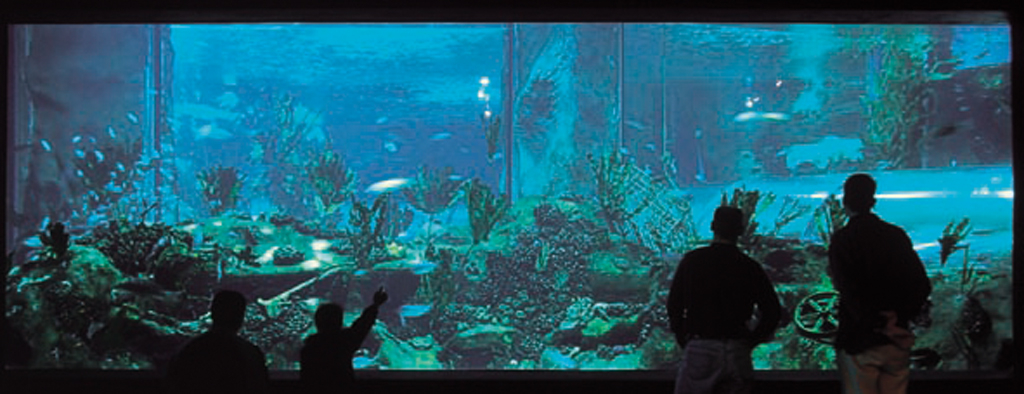 aquarium