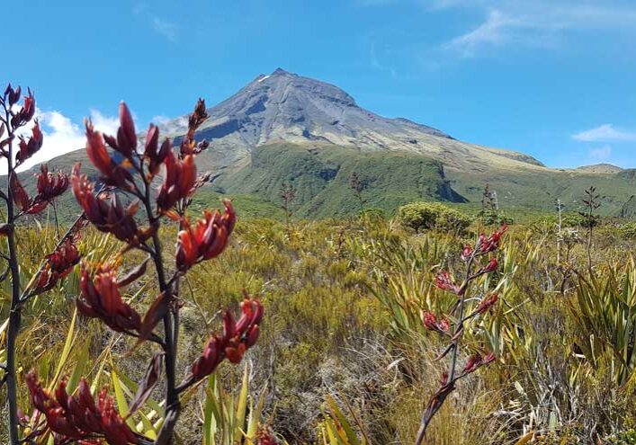 Taranaki