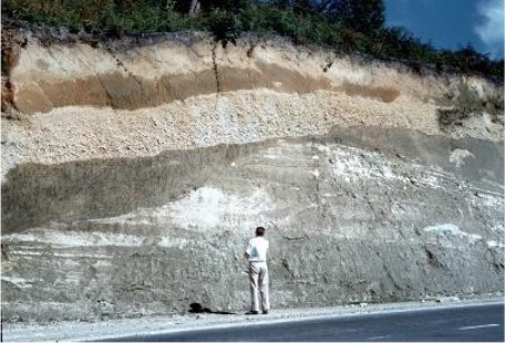 Terrestrial volcanic ash (fallout) mantling a succession of coherent igneous rocks, Rotorua, North Island, New Zealand.