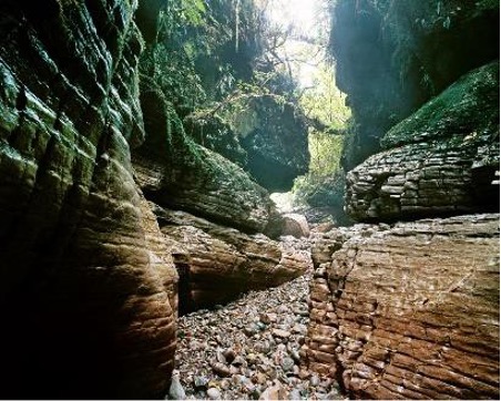 Example of a non-tropical carbonate, Cobden Limestone, West Coast, South Island, New Zealand.