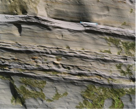 Turbidite succession, Totahiapuru Stream, Pukearuhe, North Island, New Zealand.