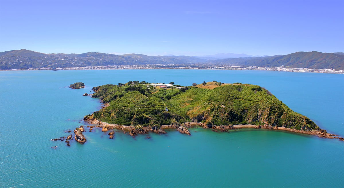 matiu_somes_-_aerial_-_super_green_ocean