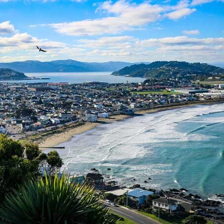 View-of-Lyall-Bay