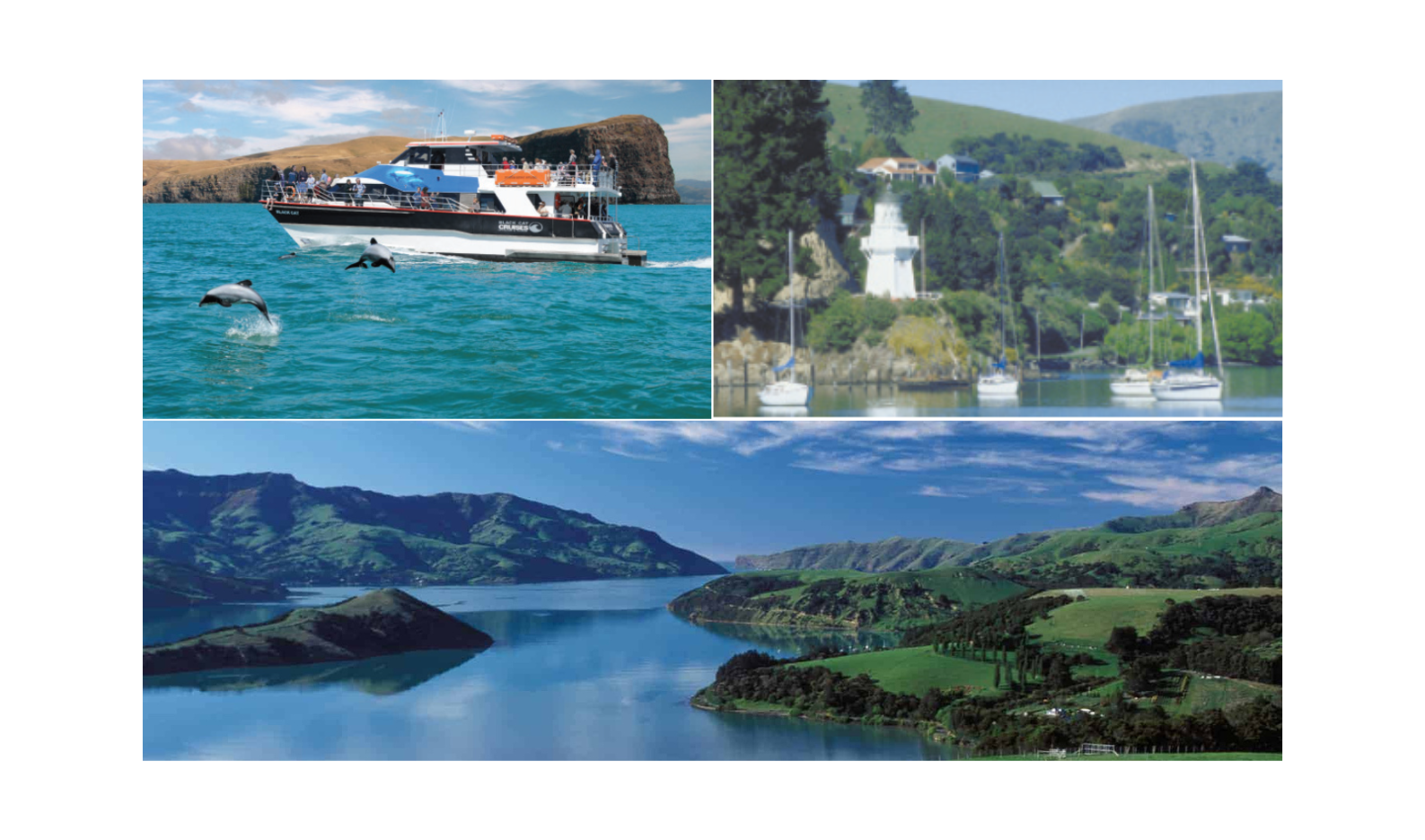 Field Trip Option 3 - Akaroa Day Tour